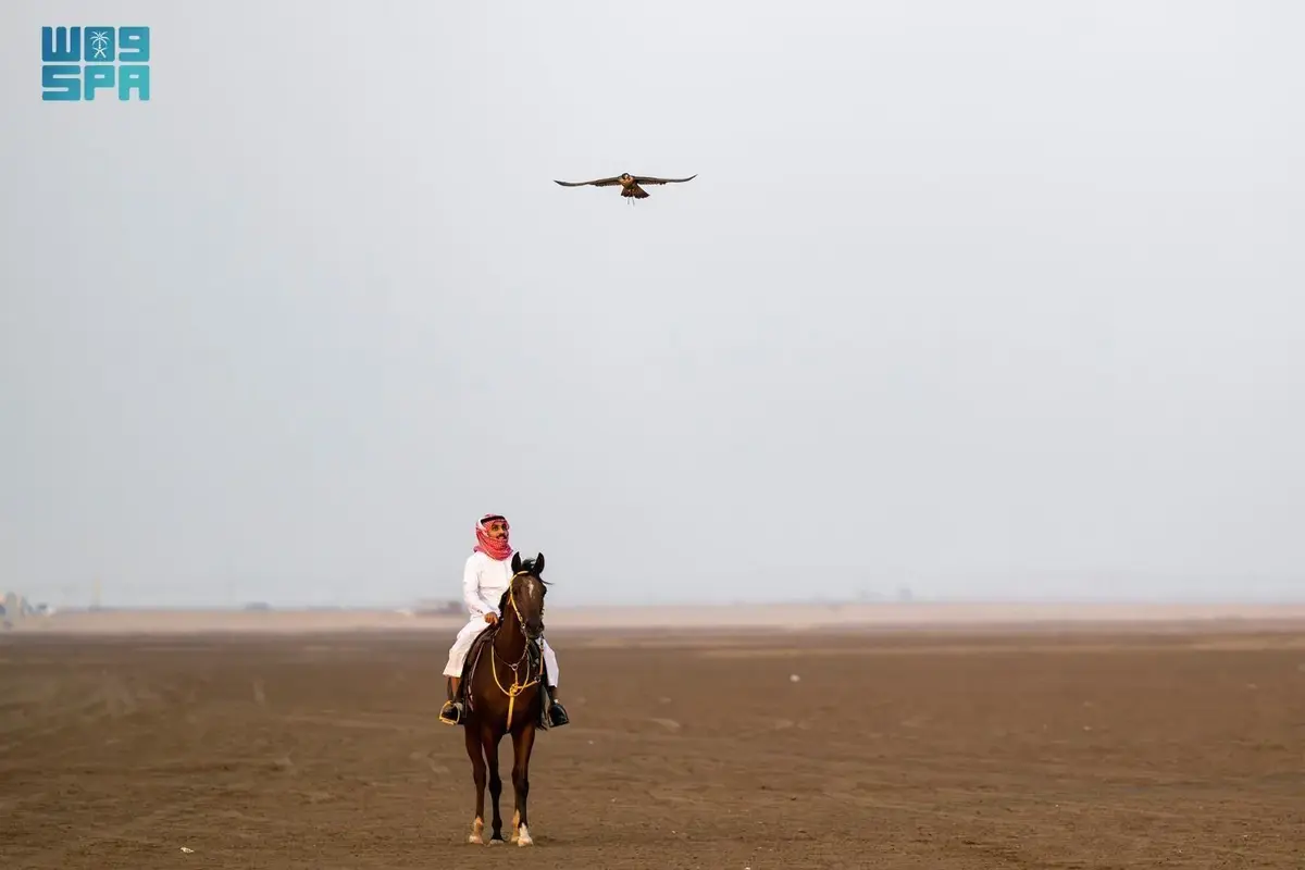 Al-Lith: Where Falcons Meet the Sea